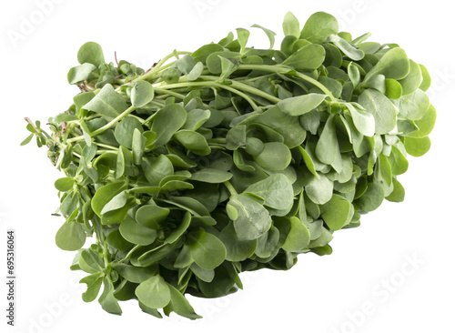 purslane