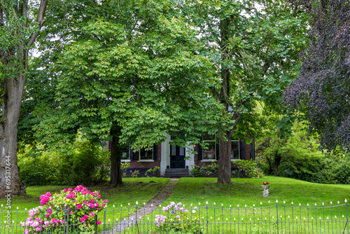 Farmhouse surrounded by big old trees in Hellum in municipality Midden-Groningen in Groningen province in The Netherlands photo