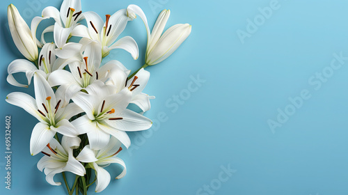  White lilies arranged in a heart shape on blue background, copy space, bouquet of white tulips