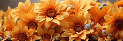 Banner Orange Arnica Flowers Heads , Banner Image For Website, Background, Desktop Wallpaper photo