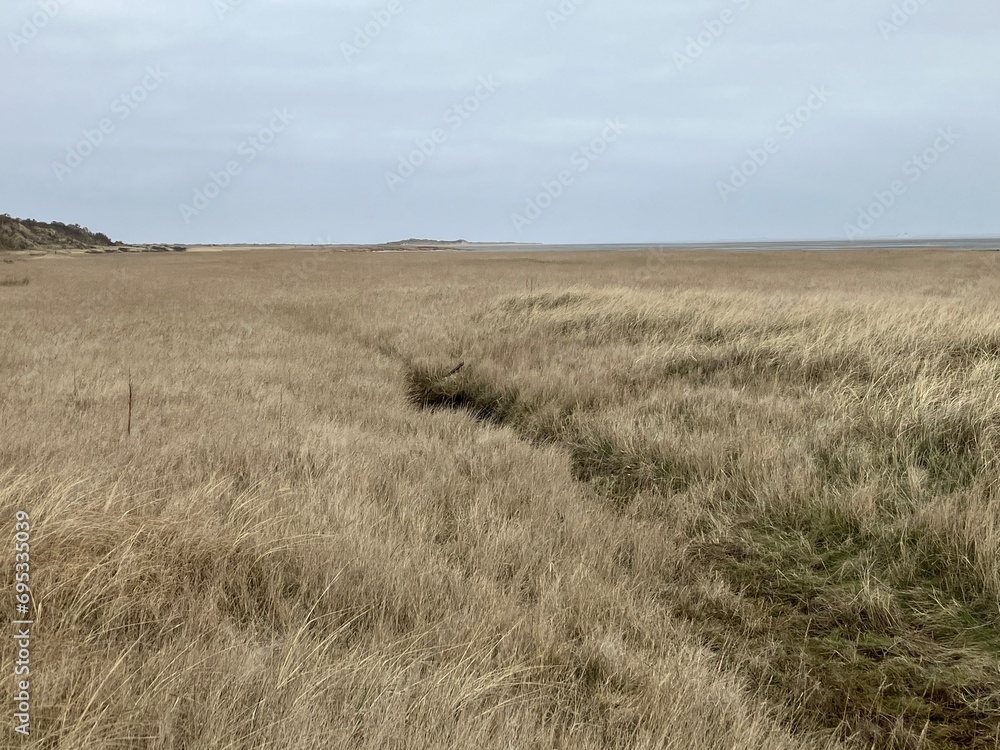 Obraz premium Blick auf die Dünenlandschaft der Ostfriesischen Insel Juist 