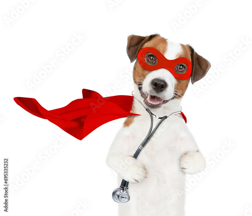 jack russell terrier wearing like a doctor with superhero cape and with stethoscope on his neck looks at camera. Isolated on white background © Ermolaev Alexandr