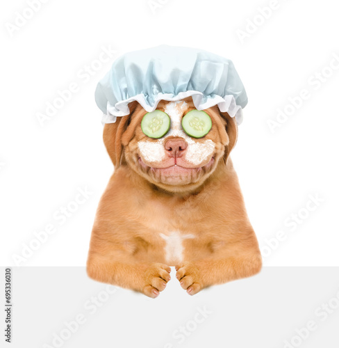 Smiling Mastiff puppy wearing shower cap, with pieces of cucumber on it eyes and with cream on it face looks above empty white banner. isolated on white background © Ermolaev Alexandr