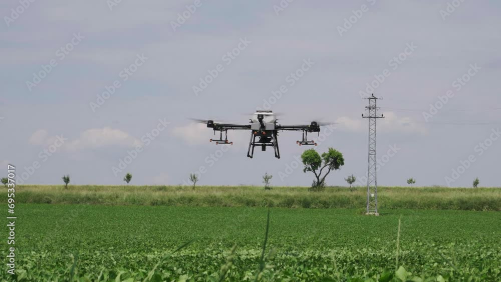 Agricultural drone fly above green crop field and prepare to spray chemicals Agricultural drone fly above green crop field and prepare to spray chemicals