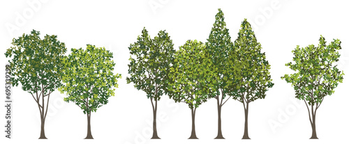 Roadside Trees Vector Illustration Isolated On A White Background. 