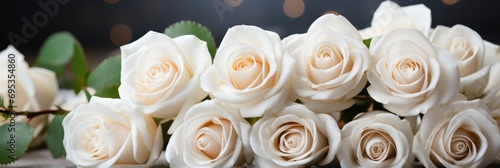 White Rose Flowers Banner Close   Banner Image For Website  Background  Desktop Wallpaper