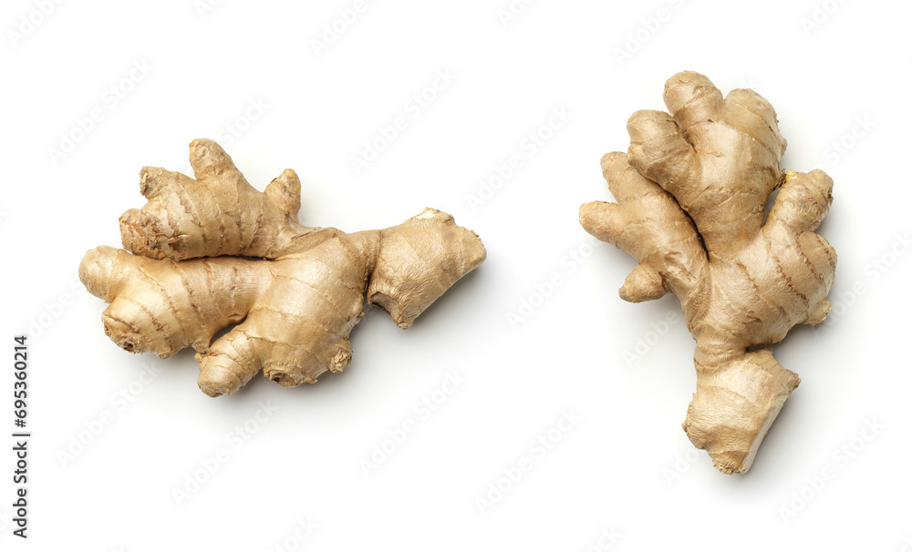 Ginger root collection isolated on white Ginger root collection isolated on white