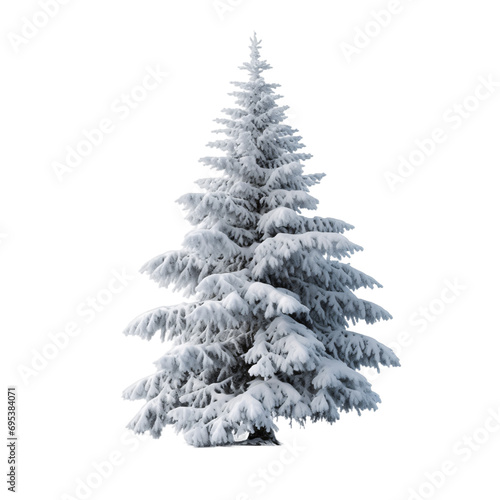 Christmas pine tree covered with snow isolated background 