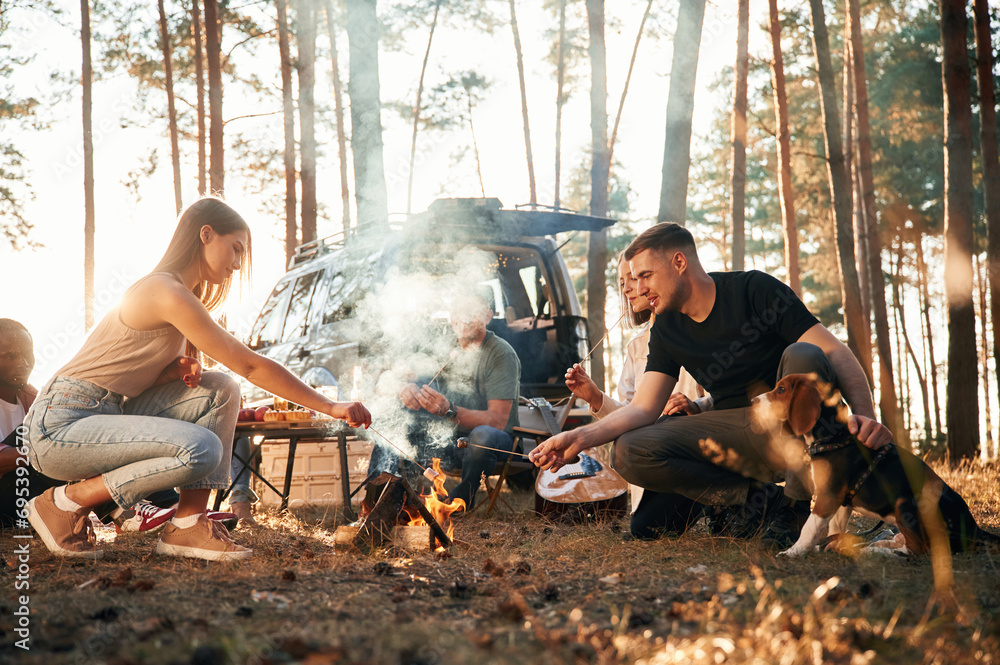 By bonfire. Group of friends are together in the forest