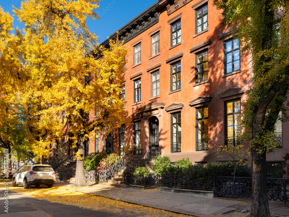 Typical row of West Village townhouses with Ginkgo trees in autumn. New York City