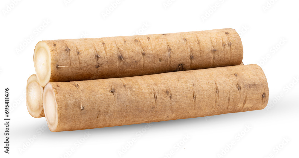 burdock roots or kobo isolated on white background burdock roots or kobo isolated on white background