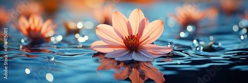 Image Flower Water Drop , Banner Image For Website, Background, Desktop Wallpaper © Pic Hub