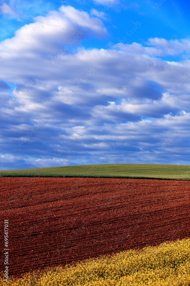 Tranquil farmland scene with a rich brown plowed field in the foreground and a lush green crop field under a cloud-filled sky Tranquil farmland scene with a rich brown plowed field in the foreground and a lush green crop field under a cloud-filled sky