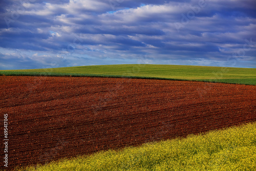 Tranquil farmland scene with a rich brown plowed field in the foreground and a lush green crop field under a cloud-filled sky photo
