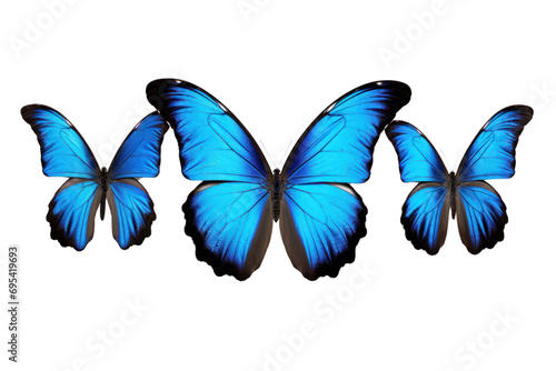 Blue tropical butterfly on a transparent background. Isolated. © venusvi