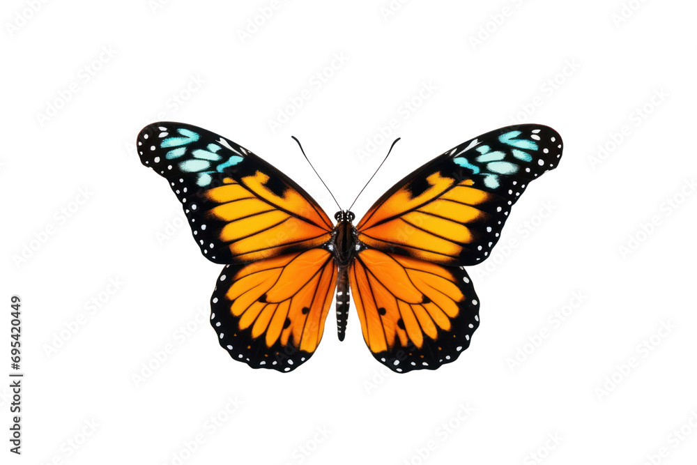 Fototapeta premium Set of rainbow colored butterflies spreading wings ,On a transparent background. Isolated.