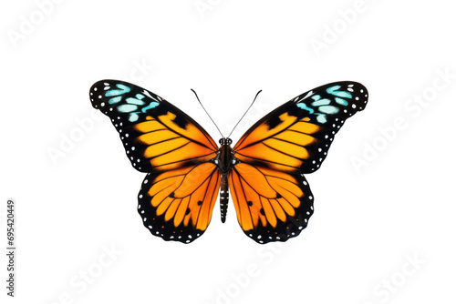 Set of rainbow colored butterflies spreading wings ,On a transparent background. Isolated. © venusvi