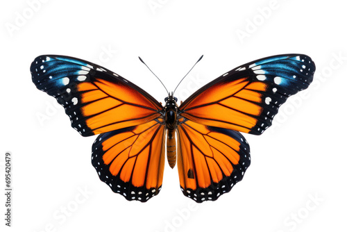 Set of rainbow colored butterflies spreading wings  On a transparent background. Isolated.