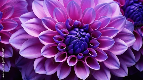 Generate a stunning and photo-realistic close-up purple flower. Ai generative
