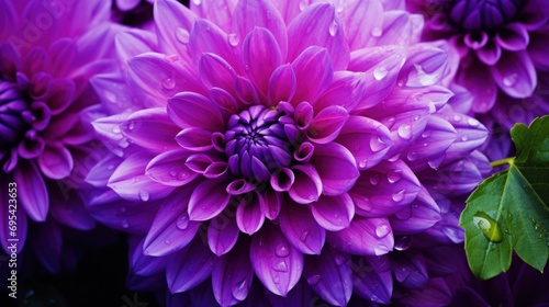 Generate a stunning and photo-realistic close-up purple flower. Ai generative