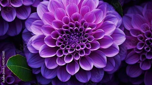 Generate a stunning and photo-realistic close-up purple flower. Ai generative