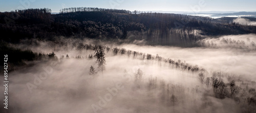 beautiful high fog in a winter forest from above