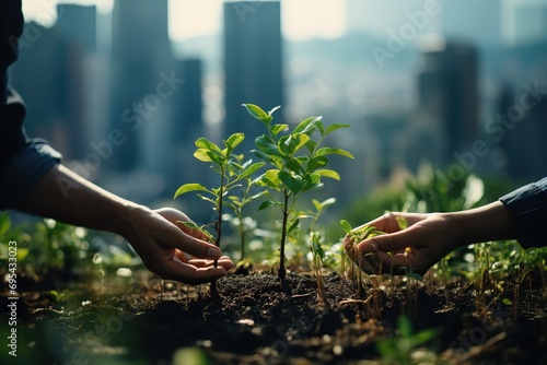  Small Plant Into The Ground - Hands Planting Young Tree With Sunlight And Flare Effects photo