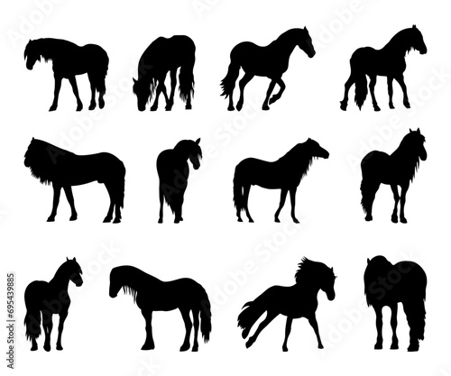 Collection of hourse silhouettes, horse breeding . Vector illustration.	