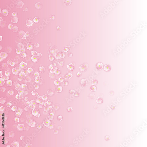 Spring tree flowers, airy flying blossom on rose color background. Pink sakur...