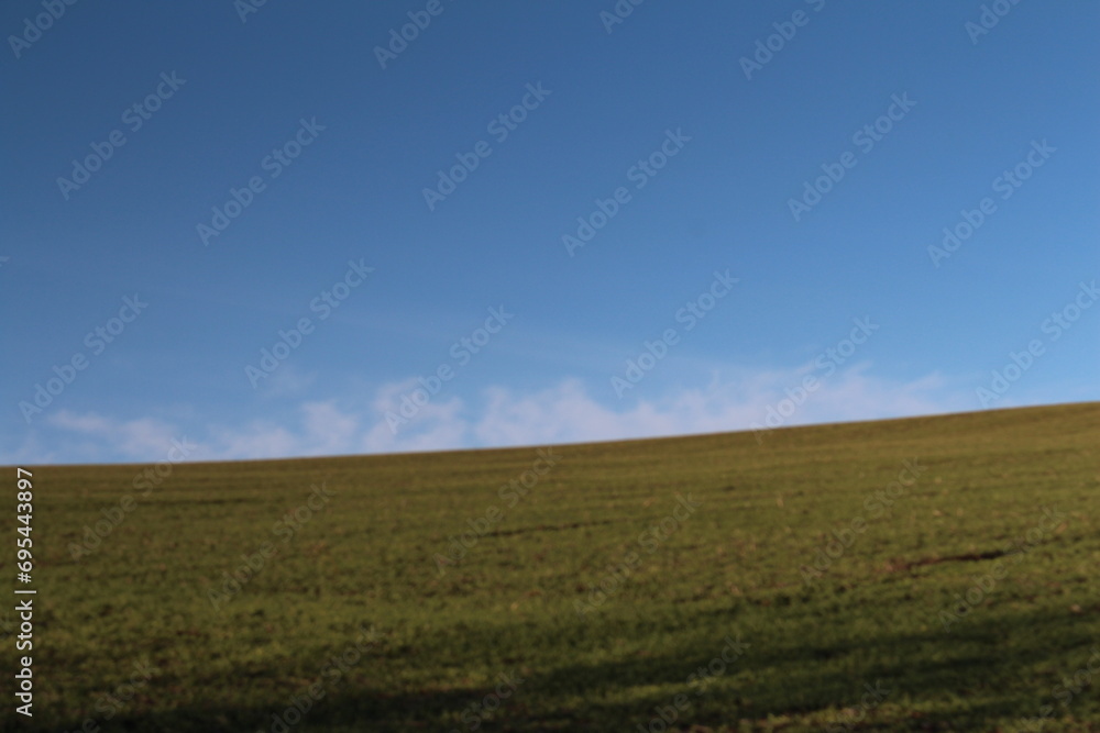 A grassy field with blue sky