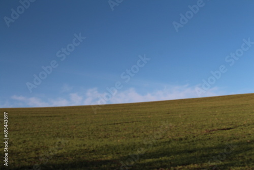 A grassy field with blue sky