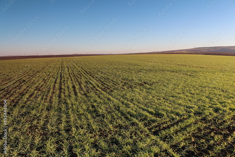 A field of green grass with Konza Prairie Natural Area in the background