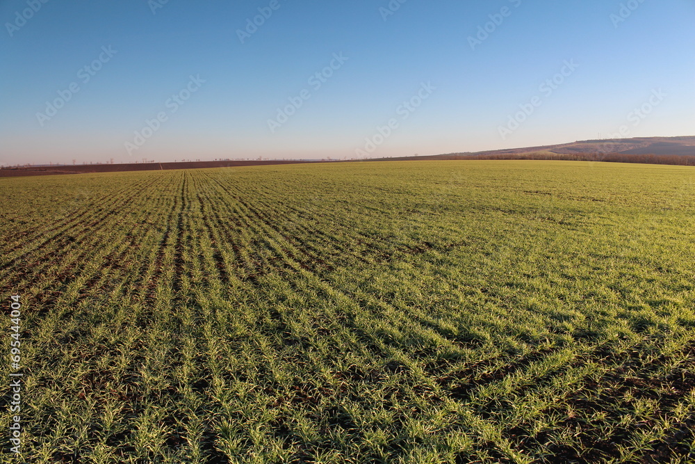 A field of green grass with Konza Prairie Natural Area in the background A field of green grass with Konza Prairie Natural Area in the background