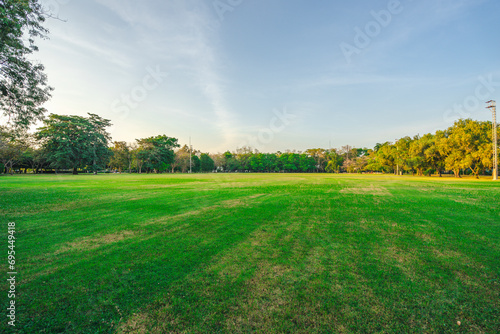 landscape of grass field and green environment public park use as natural background, backdrop.