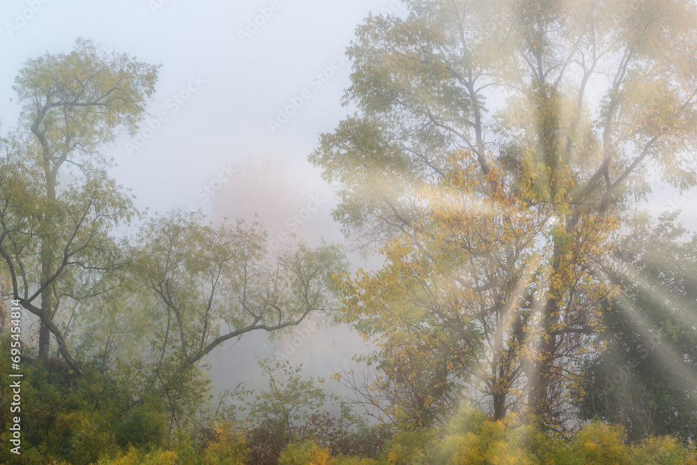 Foggy, autumn landscape of forest with sunbeams, Jackson Hole Lake, Fort Custer State Park, Michigan, USA Foggy, autumn landscape of forest with sunbeams, Jackson Hole Lake, Fort Custer State Park, Michigan, USA