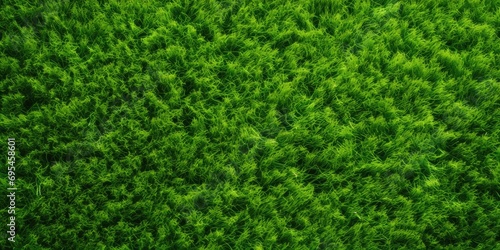 Green lawn top view. Artificial grass background grass green field texture lawn golf nature photo
