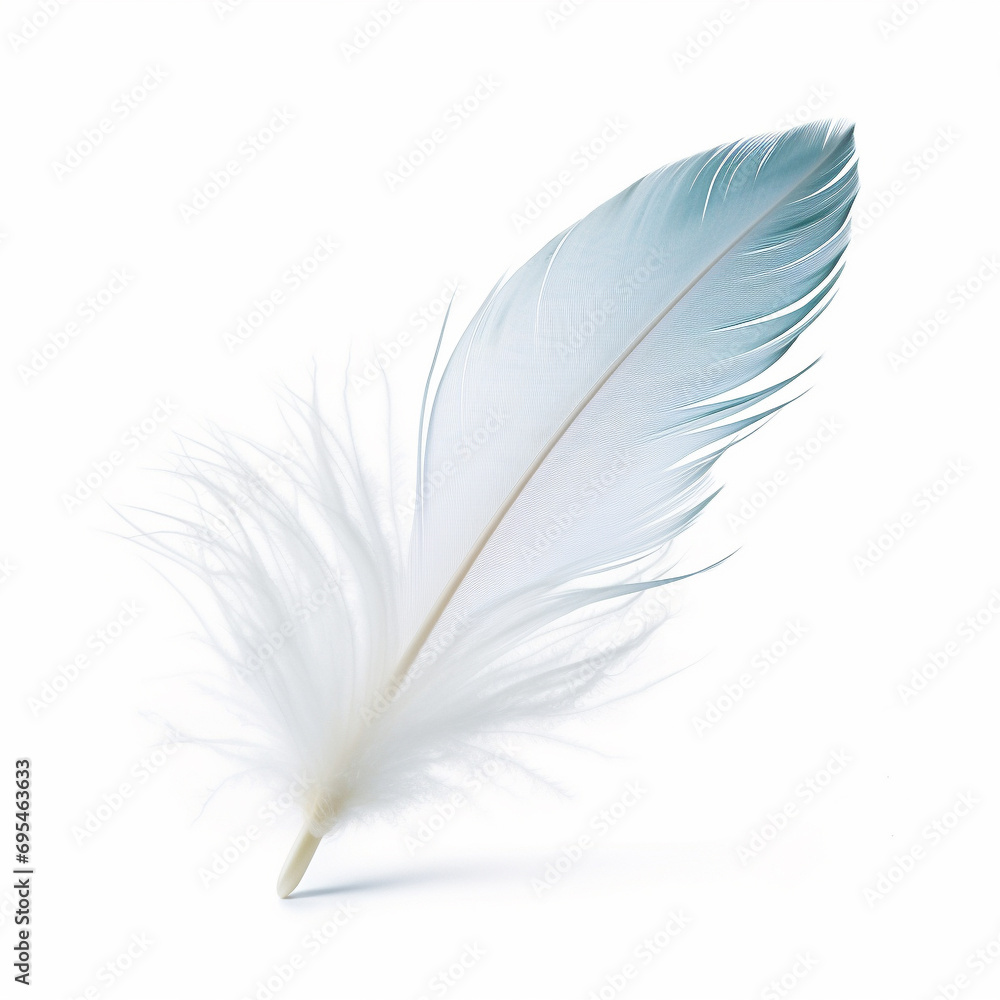 feather isolated on white background feather isolated on white background