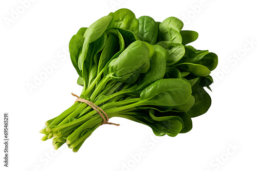Bundle of fresh spinach