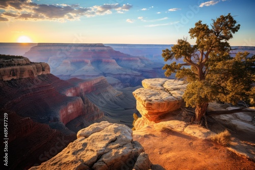  a lone tree sits on the edge of a cliff overlooking the grand canyon as the sun sets over the canyon and over the canyon into the distance is the horizon.