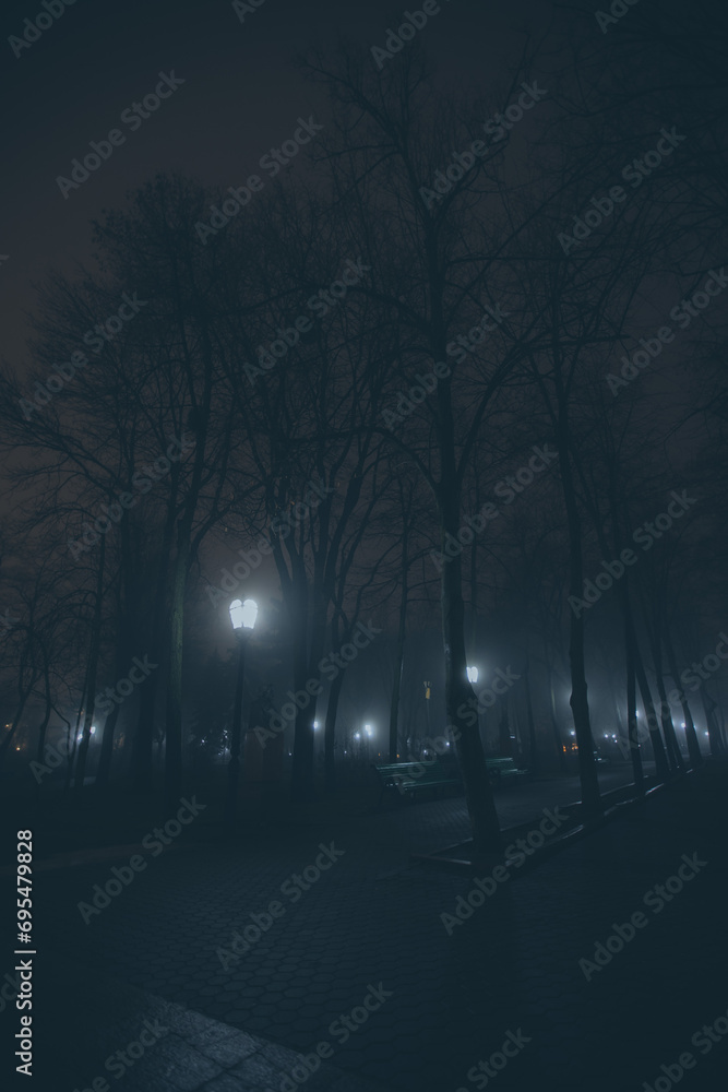 Obraz na płótnie Night life on a rainy road in a city park with lanterns, monuments and trees. Dark romantic of a misty scenery. Foggy street at Midnight in park of Chisinau, Moldova. Autumn park, walkweather evening w salonie