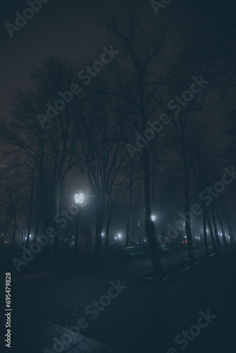 Night life on a rainy road in a city park with lanterns  monuments and trees. Dark romantic of a misty scenery. Foggy street at Midnight in park of Chisinau  Moldova. Autumn park  walkweather evening