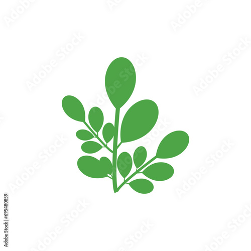 Moringa logo vector template symbol nature