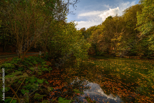 Autumn colors and nature views in Yedigöller national park. autumn, lake, cloud, tree, colorful leaves. © Halit