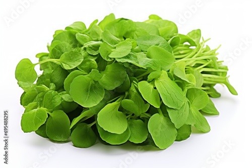 Fresh green fenugreek leaf bunch on white background photo