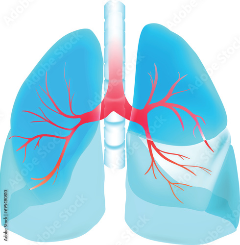 human heart anatomy model Futuristic Medical Hologram Neon Glow Translucent Human Pair of Lungs Respiratory System Backdrop Background Illustration