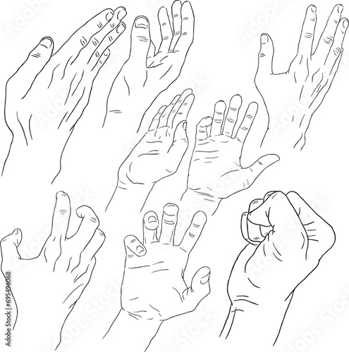 Set Of Hands Line Art in Movement & Different Pose. Crawl Pose, Fist Pose, Holding Pose