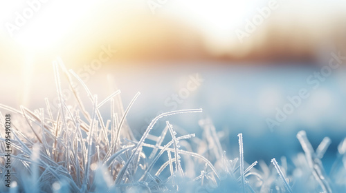 Frosty winter morning macro. Cold weather background concept. Frozen grass on the fields with copy space
