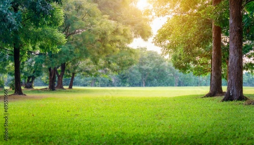 natural grass field background with blurred bokeh and trees in park