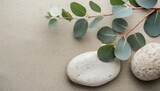 serenity eucalyptus branch and a pebble rock on sand for background template with empty space for copy or product