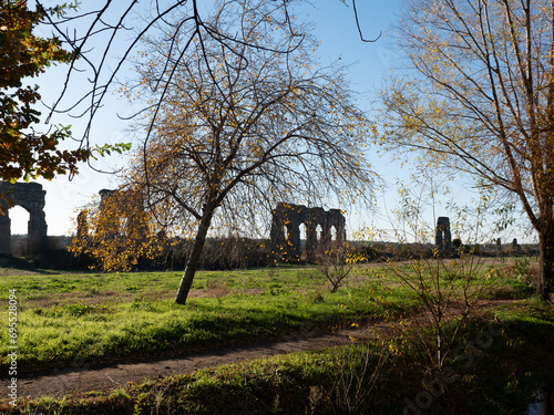 фотографія Roma, Parco degli acquedotti, alberi e vita all'aperto.